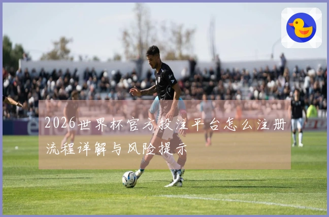 2026世界杯官方投注平台怎么注册流程详解与风险提示