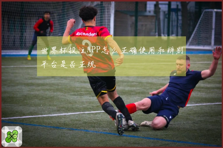 世界杯投注APP怎么正确使用和辨别平台是否正规