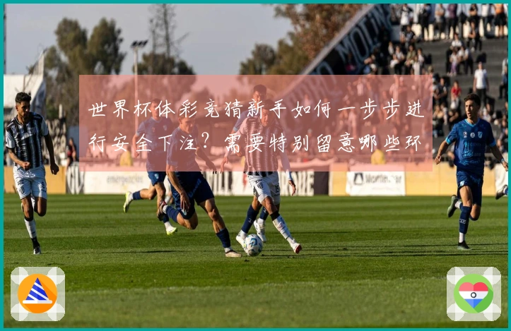 世界杯体彩竞猜新手如何一步步进行安全下注？需要特别留意哪些环节？