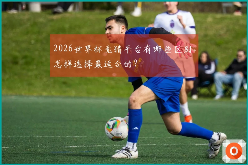 2026世界杯竞猜平台有哪些区别，怎样选择最适合的？