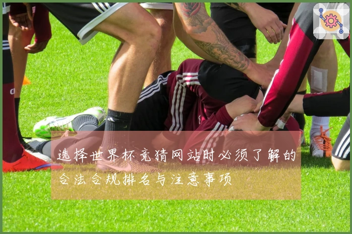 选择世界杯竞猜网站时必须了解的合法合规排名与注意事项