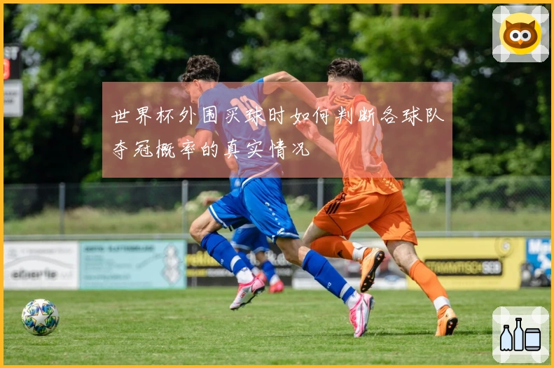 世界杯外围买球时如何判断各球队夺冠概率的真实情况