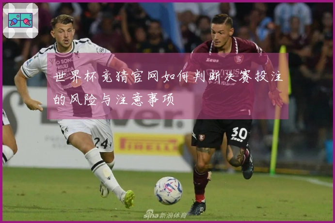 世界杯竞猜官网如何判断决赛投注的风险与注意事项