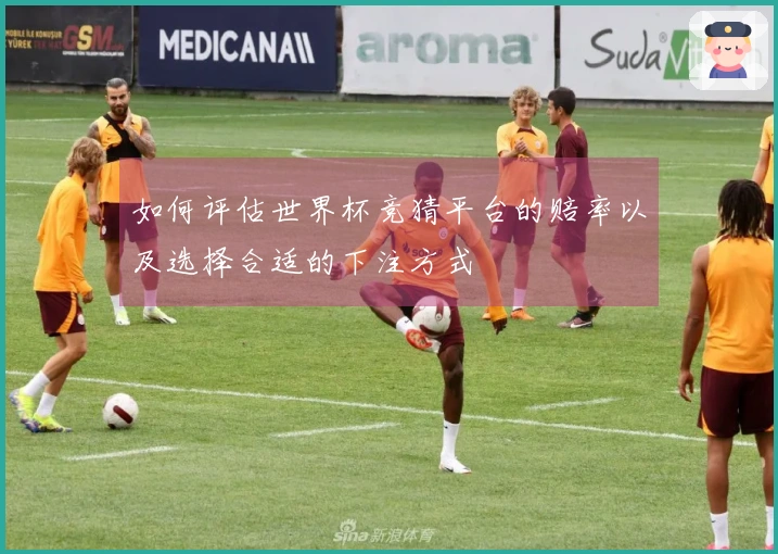 如何评估世界杯竞猜平台的赔率以及选择合适的下注方式