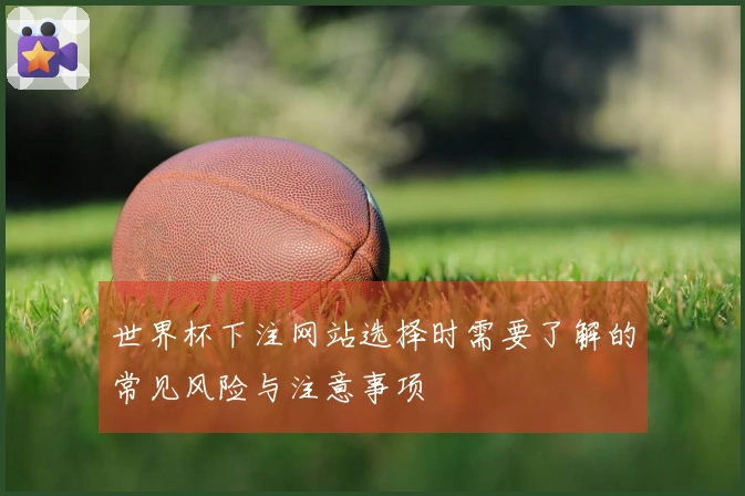 世界杯下注网站选择时需要了解的常见风险与注意事项
