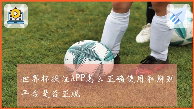世界杯投注APP怎么正确使用和辨别平台是否正规