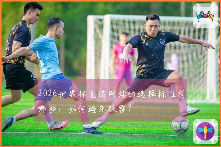 2026世界杯竞猜网站的选择标准有哪些，如何避免踩雷？